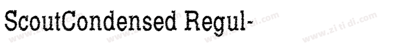 ScoutCondensed Regul字体转换